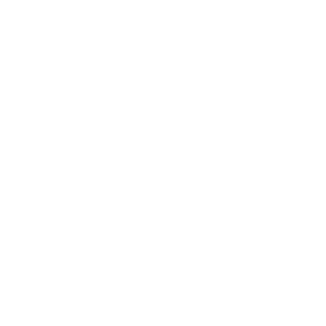 Stehr White Logo In Square Transparent