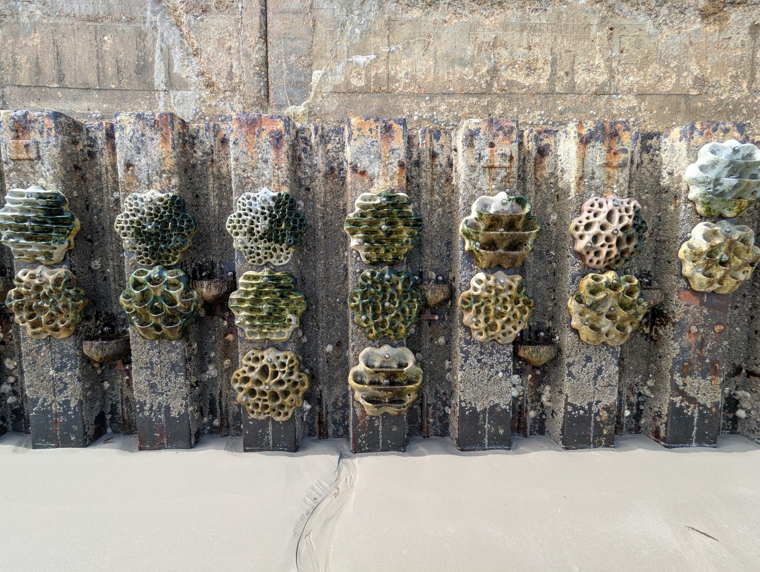 Living Seawalls tiles installed onto a concrete wall.